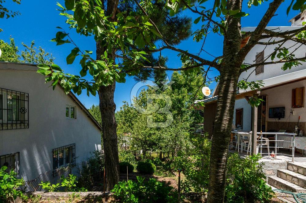 Elmaçukur Mahallesi Doğa ile İç İçe Müstakil Ev
