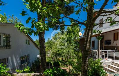 Elmaçukur Mahallesi Doğa ile İç İçe Müstakil Ev