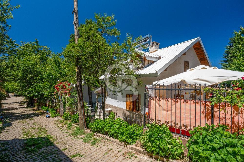 Elmaçukur Mahallesi Doğa ile İç İçe Müstakil Ev