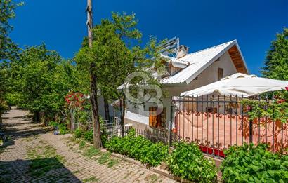 Elmaçukur Mahallesi Doğa ile İç İçe Müstakil Ev