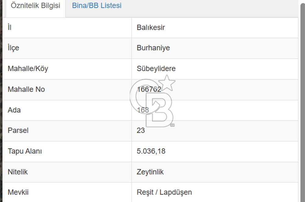 Burhaniye Sübeylidere'de Satılık 1.000.000 TL Zeytinlik