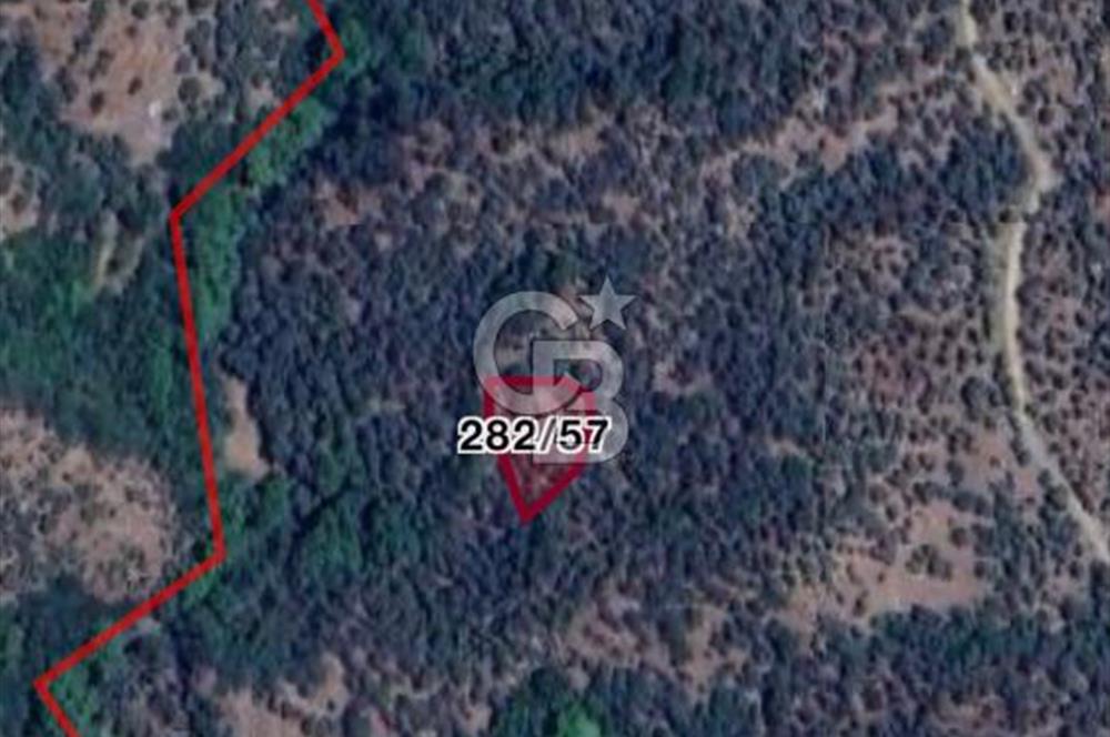 Bayındır Sarıyurt Köyüne ve Yola Yakın Yatırımlık Tarla