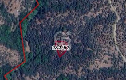 Bayındır Sarıyurt Köyüne ve Yola Yakın Yatırımlık Tarla