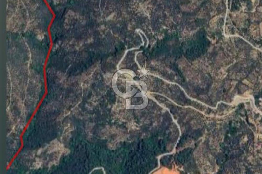 Bayındır Sarıyurtta Şehirden Uzak Kazanca Yakın 1332 m2 Tarla