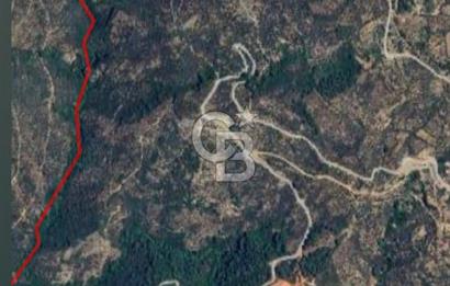 Bayındır Sarıyurtta Şehirden Uzak Kazanca Yakın 1332 m2 Tarla