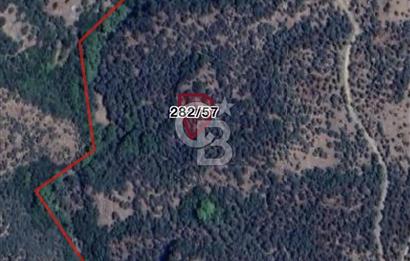 Bayındır Sarıyurt Köyüne ve Yola Yakın Yatırımlık Tarla