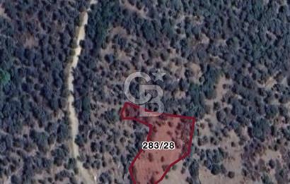 Bayındır Sarıyurtta Şehirden Uzak Kazanca Yakın 1332 m2 Tarla