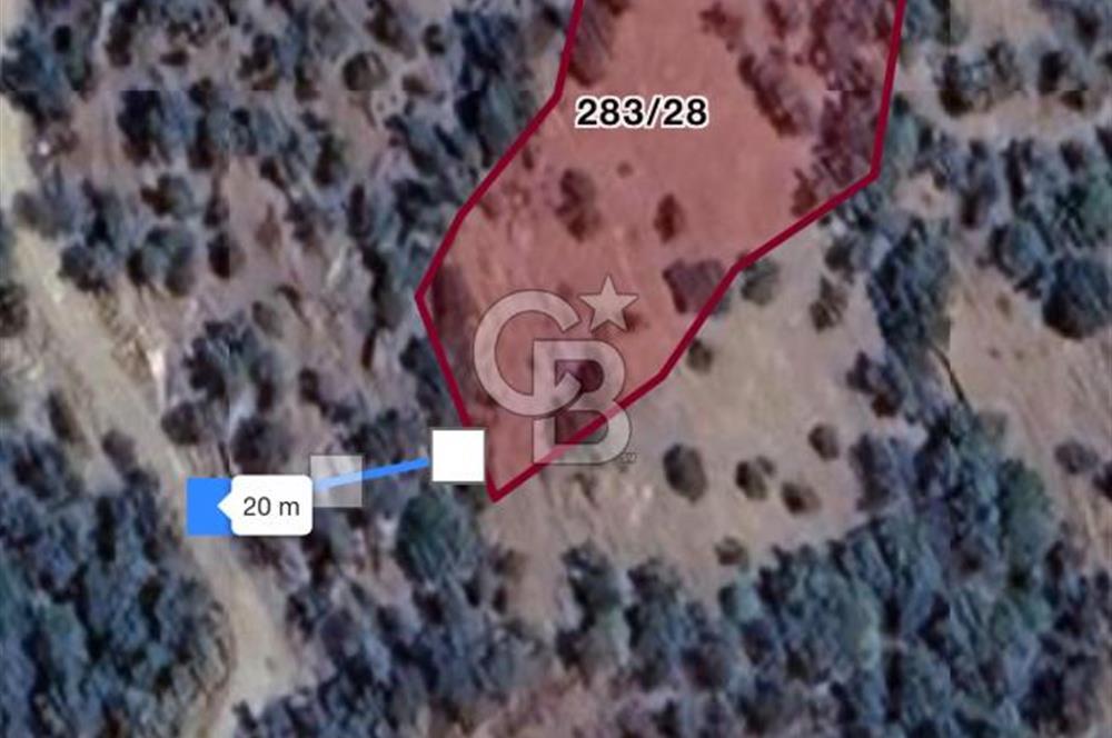 Bayındır Sarıyurtta Şehirden Uzak Kazanca Yakın 1332 m2 Tarla