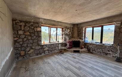 BORNOVA BEŞYOL DA 8440 M2 TARLA İÇERİSİNDE ASFALT YOLA CEPHELİ SATILIK MÜSTAKİL EV VE ARSASI