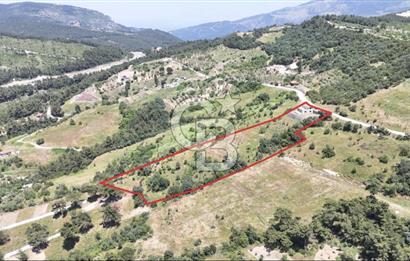 BORNOVA BEŞYOL DA 8440 M2 TARLA İÇERİSİNDE ASFALT YOLA CEPHELİ SATILIK MÜSTAKİL EV VE ARSASI