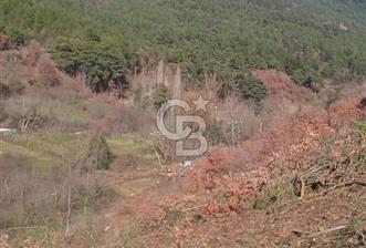 Kemalpaşa Kamberler'de Satılık 762m² Müstakil Bahçe - 9 - 352709
