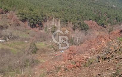 Kemalpaşa Kamberler'de Satılık 762m² Müstakil Bahçe
