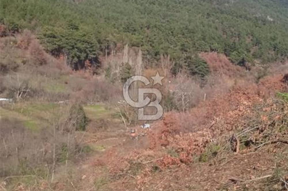 Kemalpaşa Kamberler'de Satılık 762m² Müstakil Bahçe