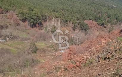 Kemalpaşa Kamberler'de Satılık 762m² Müstakil Bahçe