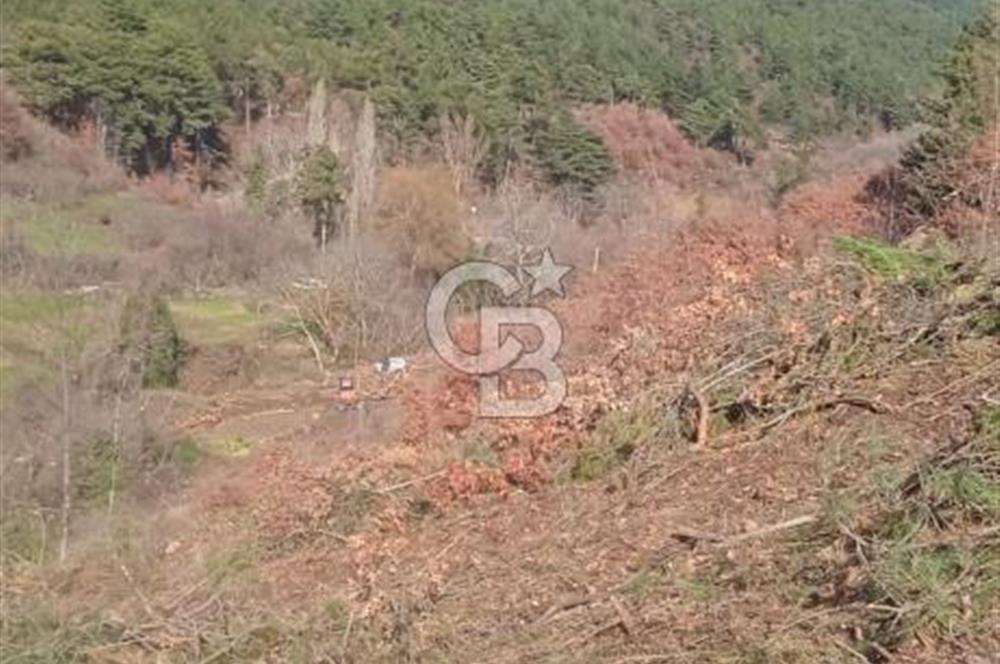 Kemalpaşa Kamberler'de Satılık 762m² Müstakil Bahçe