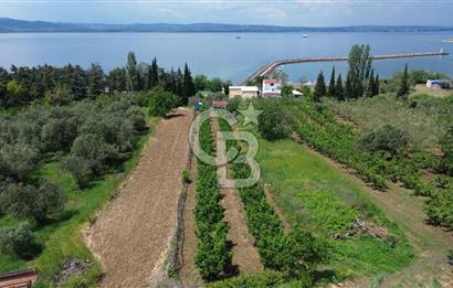 ÇANAKKALE LAPSEKİDE BOĞAZ VE KÖPRÜ MANZARALI SATILIK TARLA