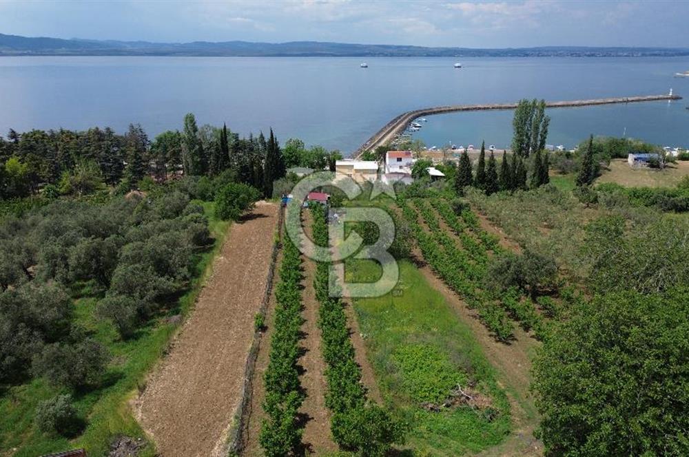 ÇANAKKALE LAPSEKİDE BOĞAZ VE KÖPRÜ MANZARALI SATILIK TARLA