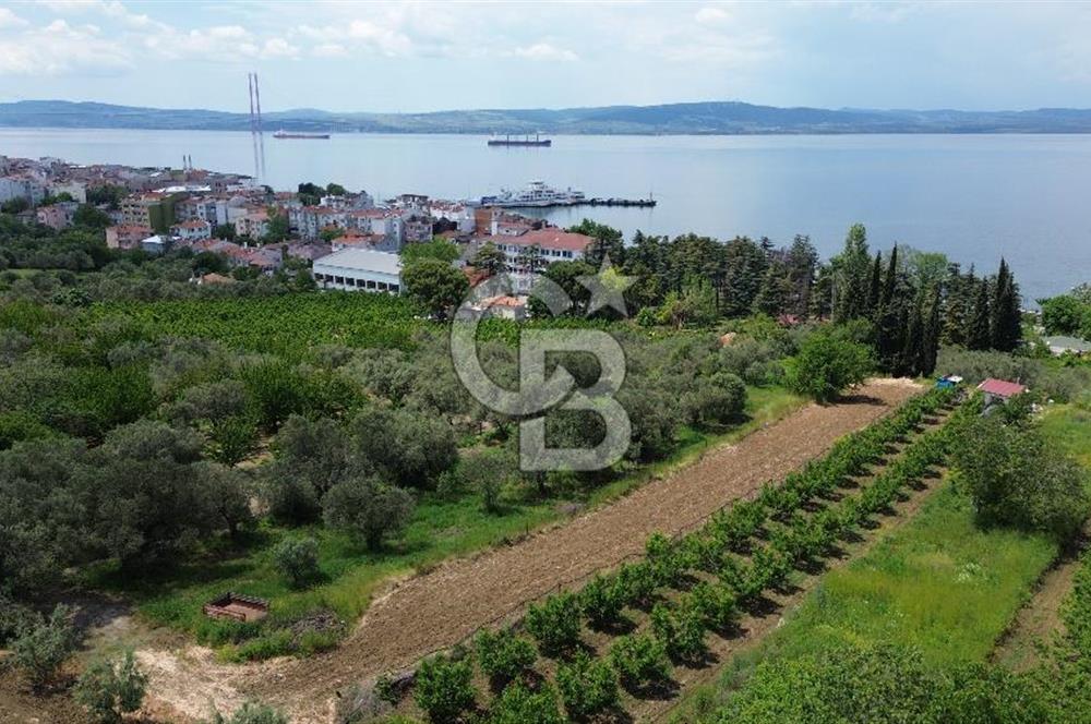 ÇANAKKALE LAPSEKİDE BOĞAZ VE KÖPRÜ MANZARALI SATILIK TARLA