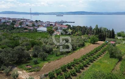 ÇANAKKALE LAPSEKİDE BOĞAZ VE KÖPRÜ MANZARALI SATILIK TARLA
