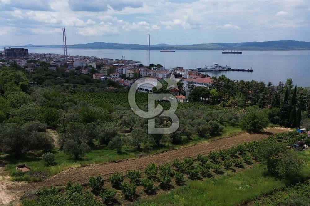 ÇANAKKALE LAPSEKİDE BOĞAZ VE KÖPRÜ MANZARALI SATILIK TARLA