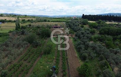 ÇANAKKALE LAPSEKİDE BOĞAZ VE KÖPRÜ MANZARALI SATILIK TARLA