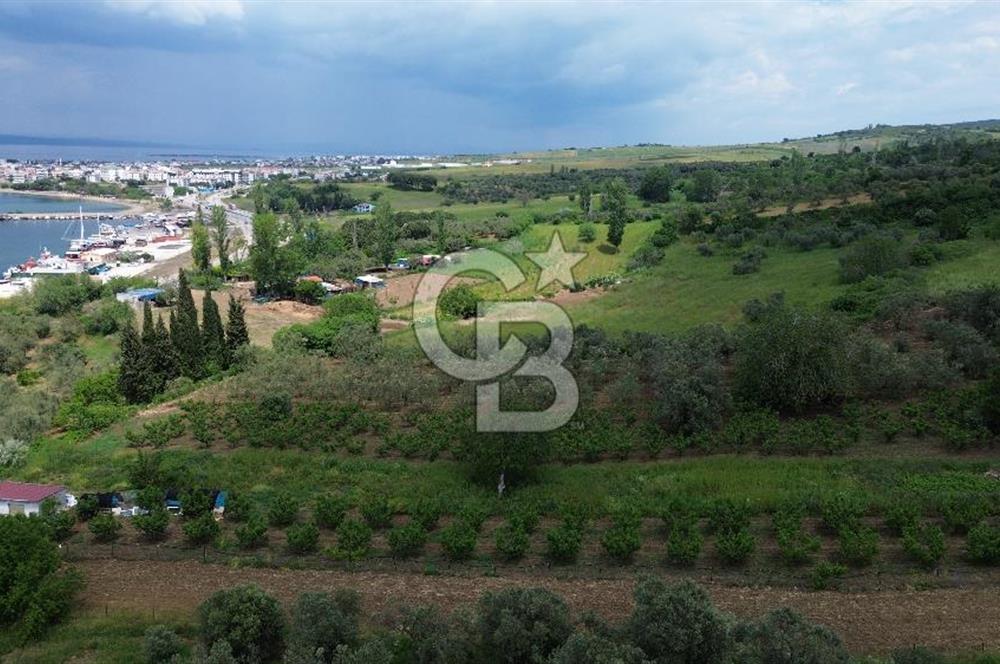 ÇANAKKALE LAPSEKİDE BOĞAZ VE KÖPRÜ MANZARALI SATILIK TARLA