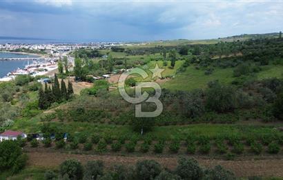 ÇANAKKALE LAPSEKİDE BOĞAZ VE KÖPRÜ MANZARALI SATILIK TARLA