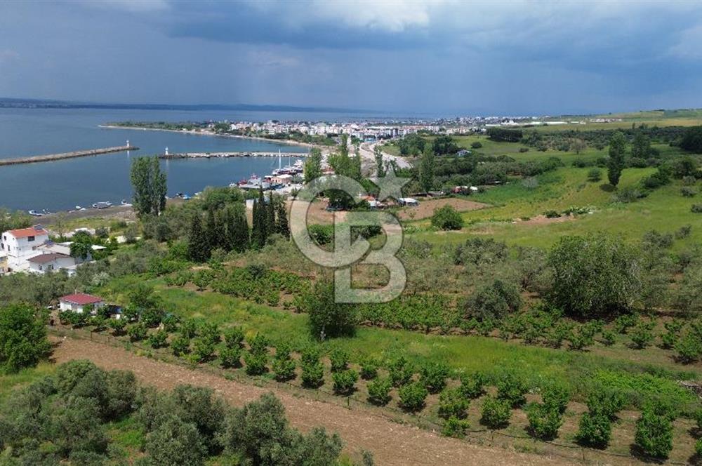 ÇANAKKALE LAPSEKİDE BOĞAZ VE KÖPRÜ MANZARALI SATILIK TARLA