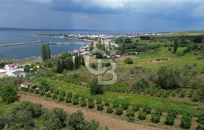 ÇANAKKALE LAPSEKİDE BOĞAZ VE KÖPRÜ MANZARALI SATILIK TARLA