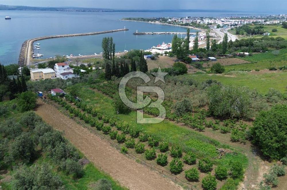 ÇANAKKALE LAPSEKİDE BOĞAZ VE KÖPRÜ MANZARALI SATILIK TARLA