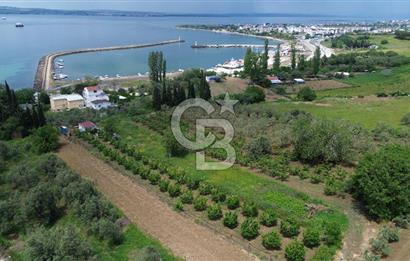 ÇANAKKALE LAPSEKİDE BOĞAZ VE KÖPRÜ MANZARALI SATILIK TARLA