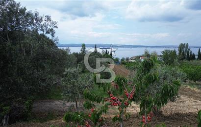 ÇANAKKALE LAPSEKİDE BOĞAZ VE KÖPRÜ MANZARALI SATILIK TARLA