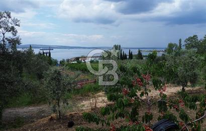 ÇANAKKALE LAPSEKİDE BOĞAZ VE KÖPRÜ MANZARALI SATILIK TARLA