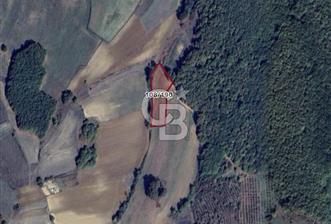 İZMİT SÜVERLER KÖYÜNDE SATILIK 2900 M2 TARLA - 3 - 352736