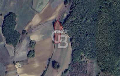 İZMİT SÜVERLER KÖYÜNDE SATILIK 2900 M2 TARLA