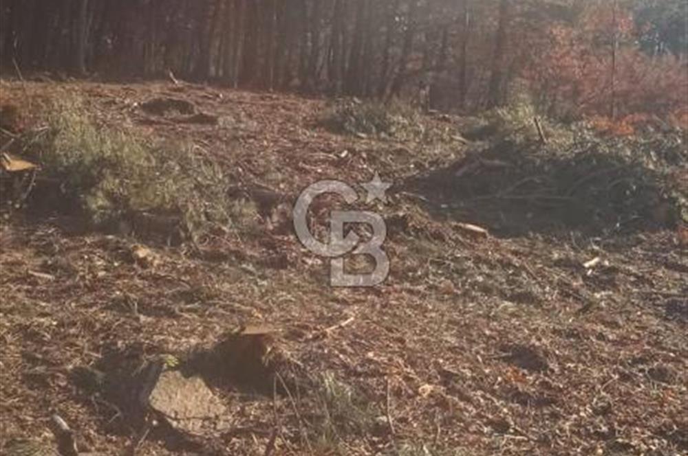 Kemalpaşa Kamberler'de 4225m² Satılık Müstakil Tarla 