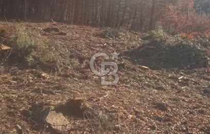Kemalpaşa Kamberler'de 4225m² Satılık Müstakil Tarla 