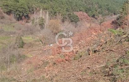 Kemalpaşa Kamberler'de 4225m² Satılık Müstakil Tarla 