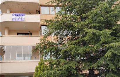 KIRKKONAKLAR'DA ŞÖMİNELİ 4+1 ŞÖMİNELİ | KAPALI OTOPARKLI SATILIK DAİRE