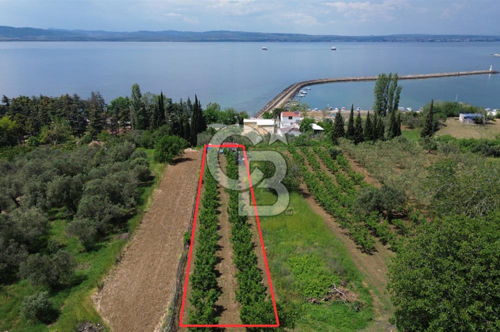ÇANAKKALE LAPSEKİDE BOĞAZ VE KÖPRÜ MANZARALI SATILIK TARLA