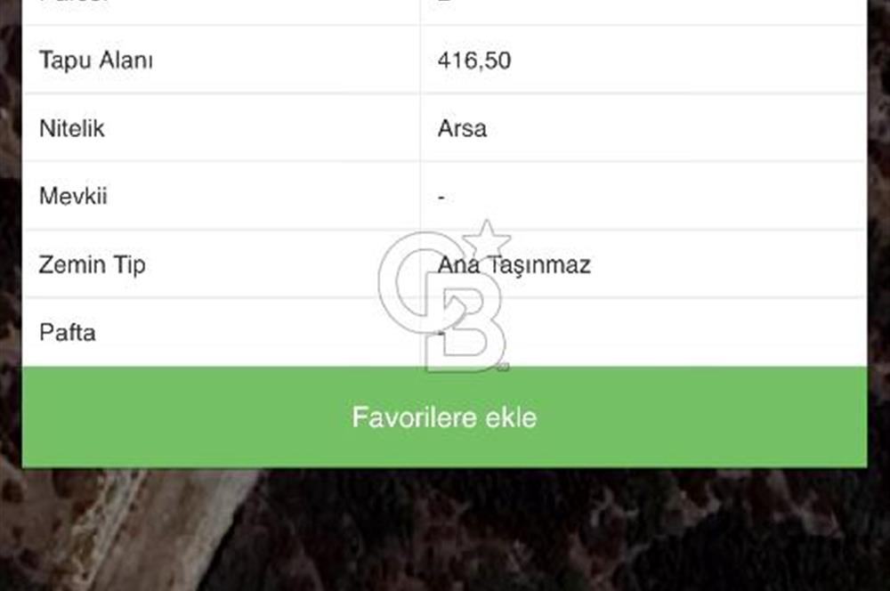 ŞİRİNCE'NİN EŞSİZ DOĞASINDA YATIRIMLIK FIRSAT ZEYTİNLİK