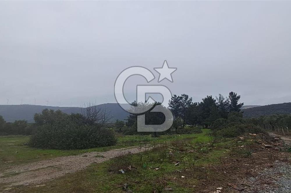 Didim Fevzipaşa'da Plajlara 1 km Mesafede Satılık Villa Arsası