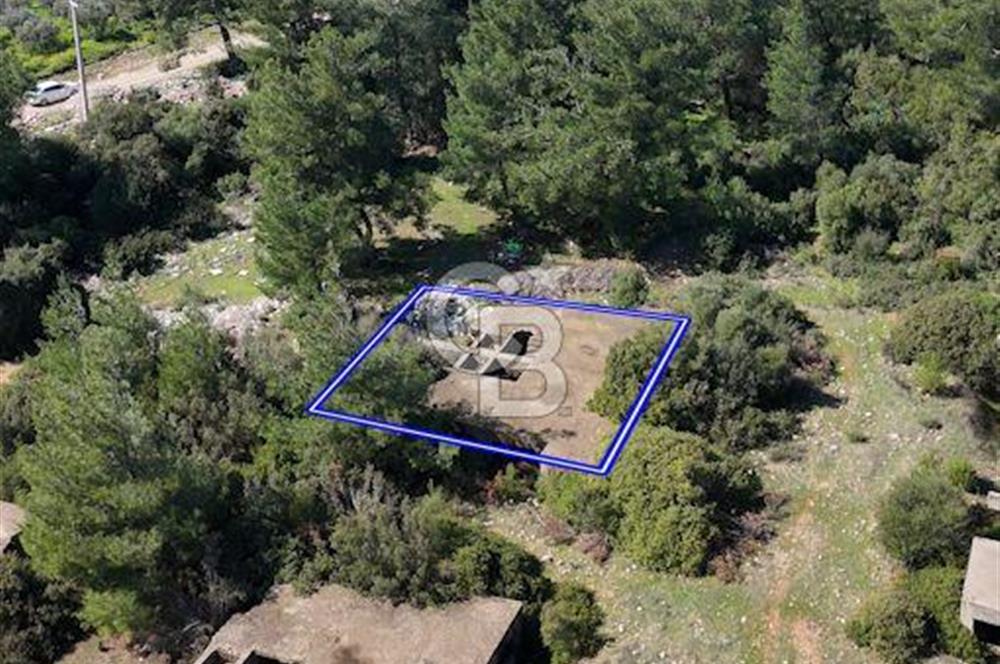 Didim Fevzipaşa'da Plajlara 1 km Mesafede Satılık Villa Arsası