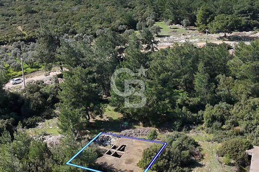 Didim Fevzipaşa'da Plajlara 1 km Mesafede Satılık Villa Arsası