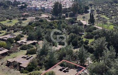 Didim Fevzipaşa'da Plajlara 1 km Mesafede Satılık Villa Arsası