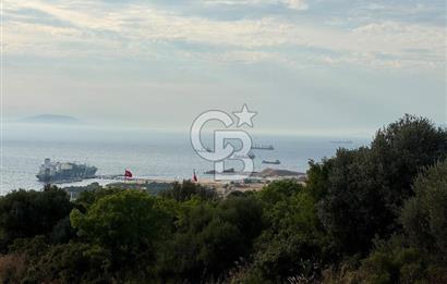 İZMIR FOÇA KOZBEYLI DENIZGÖREN YATIRIMLIK TARLA