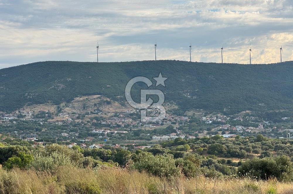 İZMIR FOÇA KOZBEYLI DENIZGÖREN YATIRIMLIK TARLA