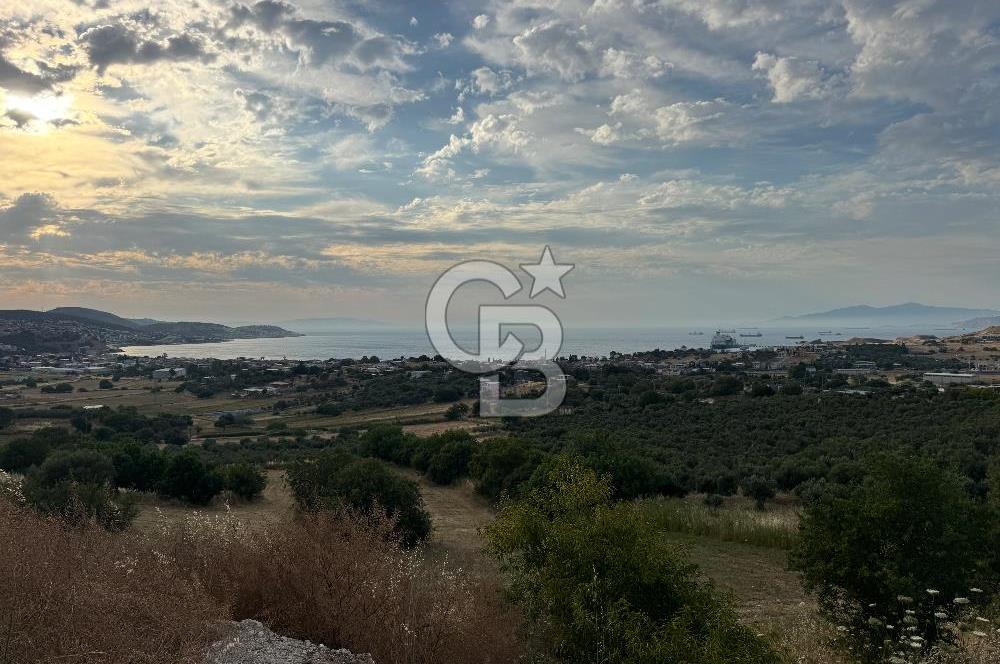 İZMIR FOÇA KOZBEYLI DENIZGÖREN YATIRIMLIK TARLA
