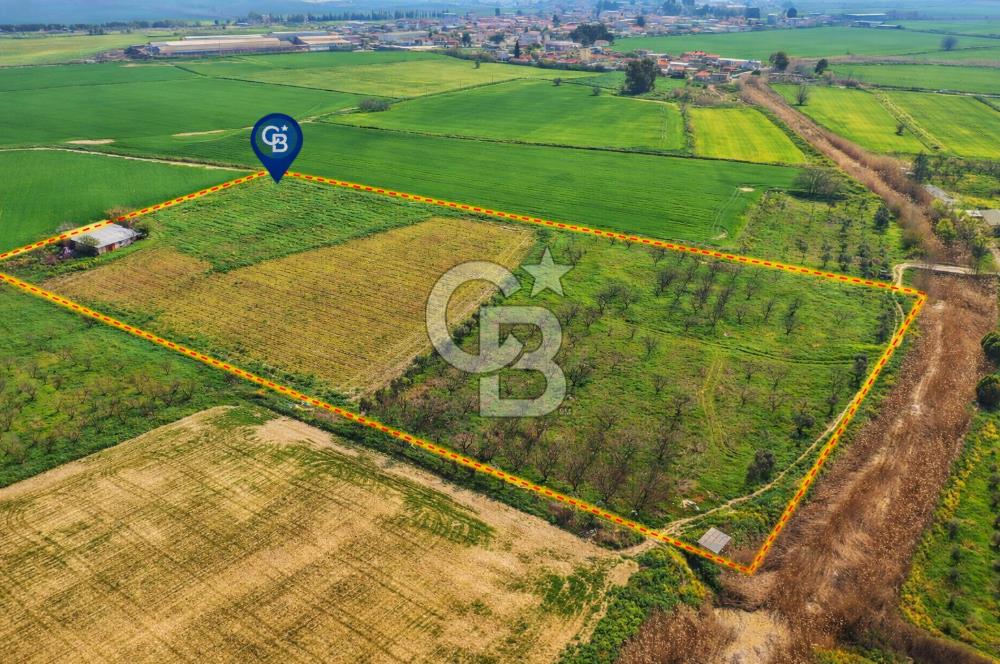 İzmir Çiğli Kaklıç'ta -24.400 m2 - Kiralık Tarla