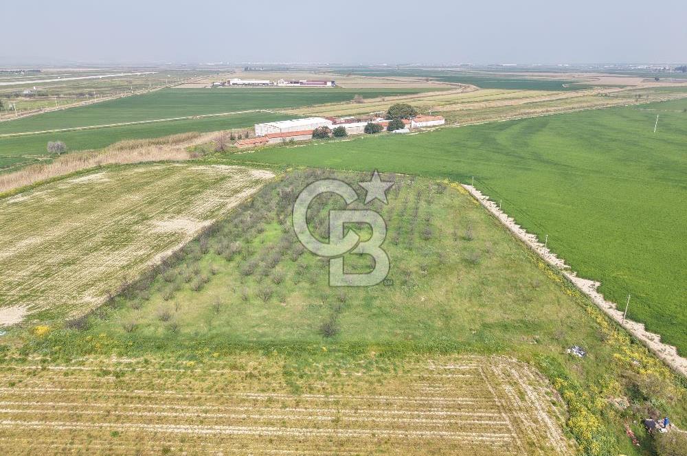 İzmir Çiğli Kaklıç'ta -10.200 m2 - Kiralık Tarla